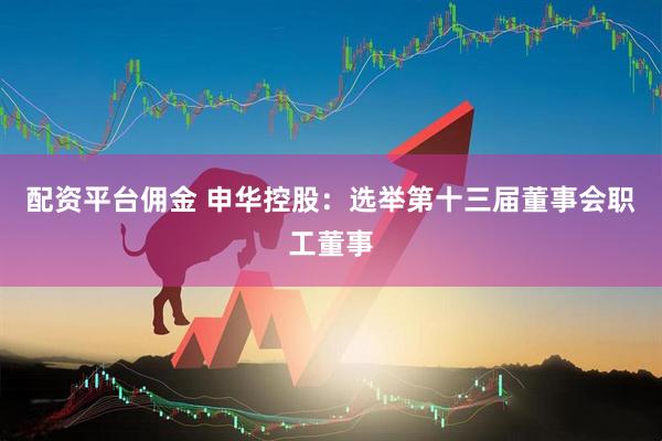 配资平台佣金 申华控股：选举第十三届董事会职工董事