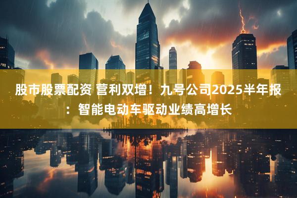 股市股票配资 营利双增！九号公司2025半年报：智能电动车驱动业绩高增长