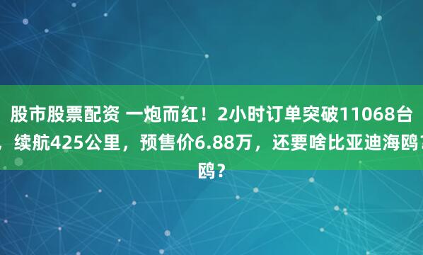 股市股票配资 一炮而红！2小时订单突破11068台，续航425公里，预售价6.88万，还要啥比亚迪海鸥？